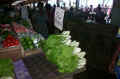 Vegetable.jpg (39825 oCg)