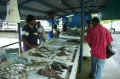 fish-market.jpg (46938 oCg)