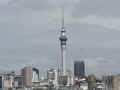 tower.jpg (22585 oCg)