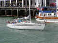 yacht02.jpg (50093 oCg)