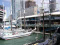 yacht.jpg (66956 oCg)