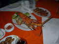 020712-3.jpg (41060 oCg)