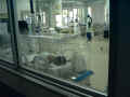 nicu.jpg (36412 バイト)