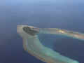 pohnpei01.jpg (14780 バイト)