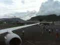 pohnpei03.jpg (25280 バイト)