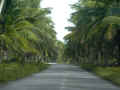 road02.jpg (43595 oCg)